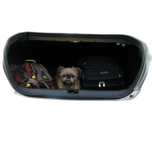 car, animal, small, dog transparent PNG cut-out