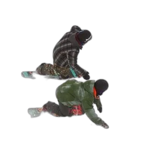 animal, creature, staff, shoes transparent PNG cut-out