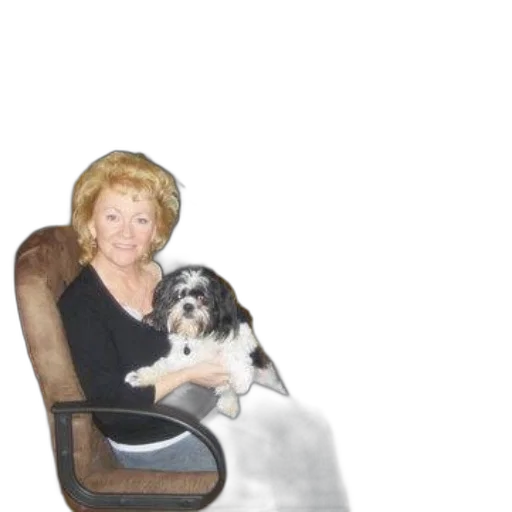 staff, furniture, animal, creature transparent PNG cut-out