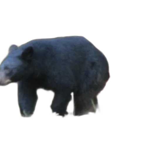 animal, creature, staff, weapon transparent PNG cut-out