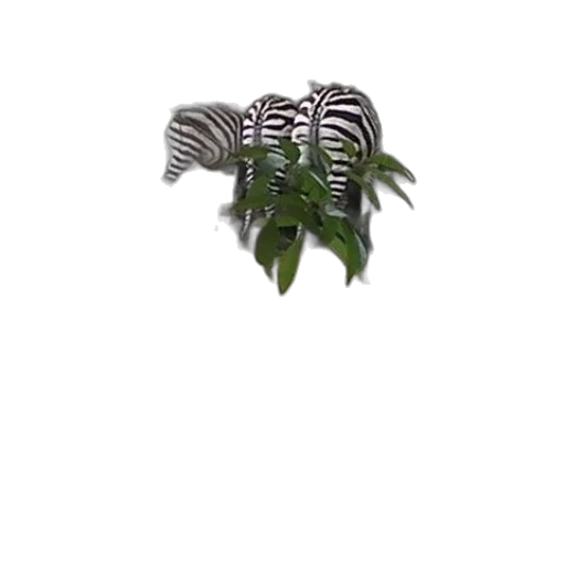 animal, tree, creature, flower transparent PNG cut-out