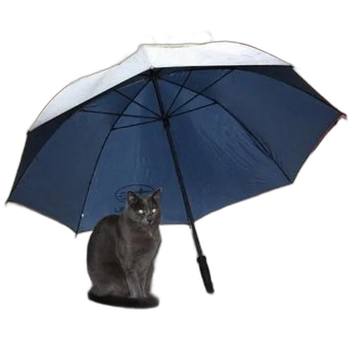 umbrella, hat, staff, animal transparent PNG cut-out