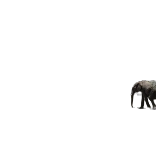 animal, creature, umbrella, dragon transparent PNG cut-out