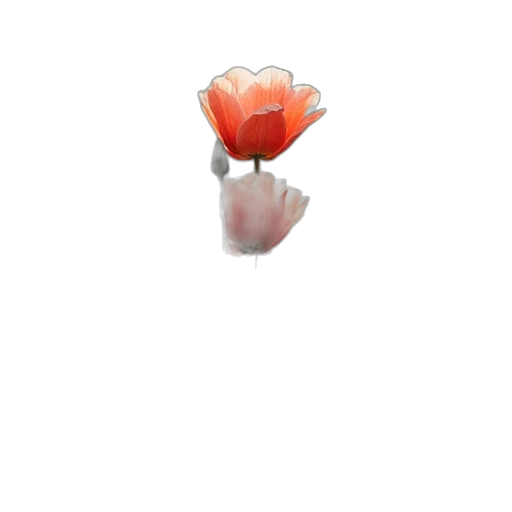 flower, jewelry, crown, staff transparent PNG cut-out