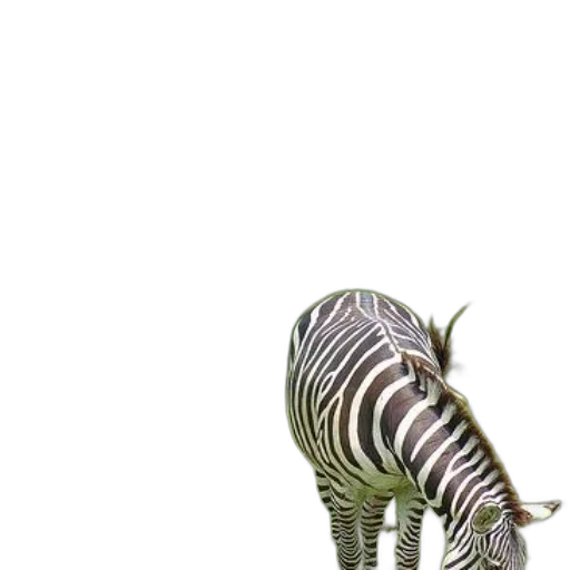 animal, creature, furniture, staff transparent PNG cut-out