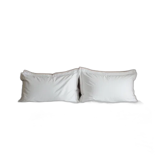 furniture, photorealistic, 3d render, monochrome transparent PNG cut-out