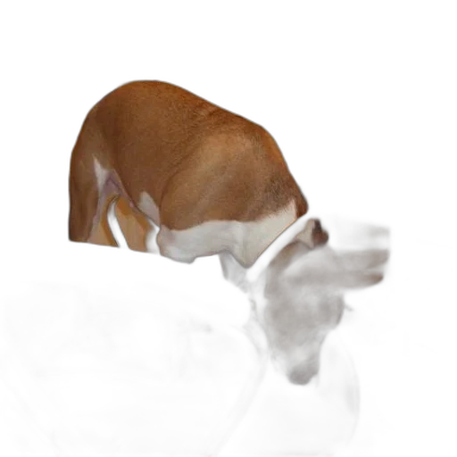 animal, hat, creature, mask transparent PNG cut-out