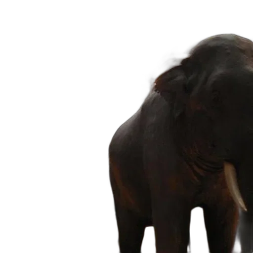 animal, creature, staff, 3d render transparent PNG cut-out