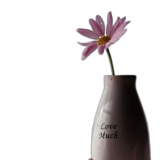 bottle, flower, furniture, photorealistic transparent PNG cut-out