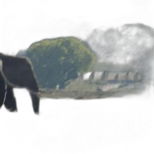 animal, creature, umbrella, dragon transparent PNG cut-out