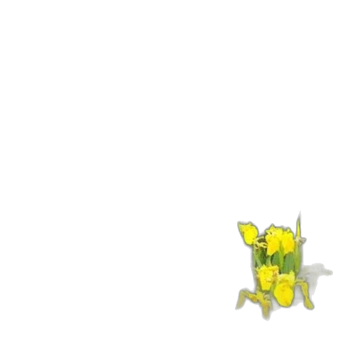 flower, dragon, weapon, crown transparent PNG cut-out
