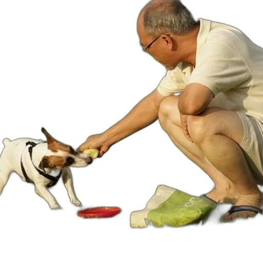 shoes, staff, animal, food transparent PNG cut-out