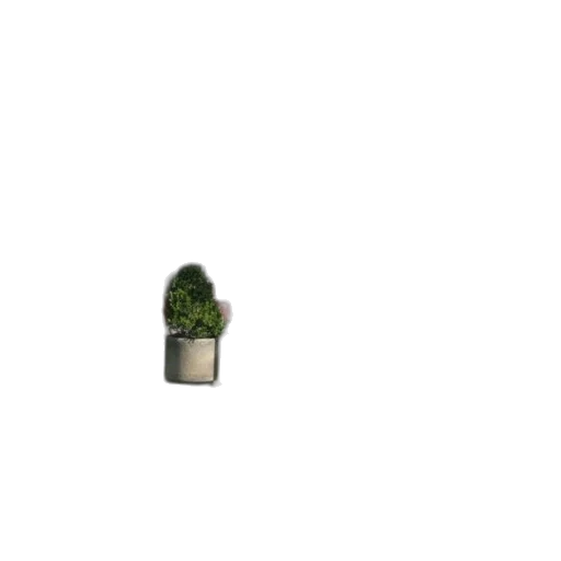 tree, furniture, flower, crown transparent PNG cut-out