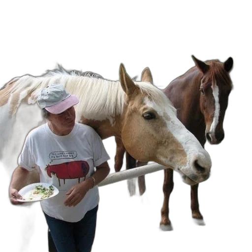 food, animal, hat, staff transparent PNG cut-out