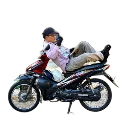 jacket, animal, photorealistic, 3d render transparent PNG cut-out