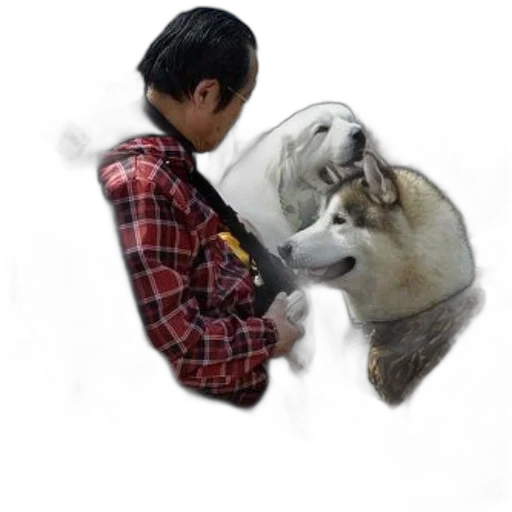 animal, creature, jacket, face transparent PNG cut-out