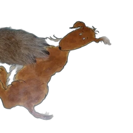 animal, creature, hair, staff transparent PNG cut-out