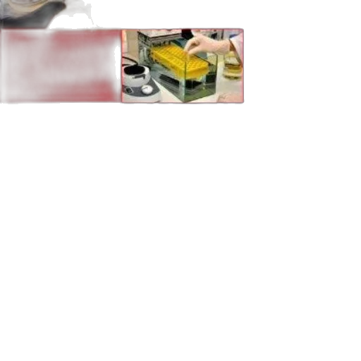 food, bottle, jewelry, staff transparent PNG cut-out