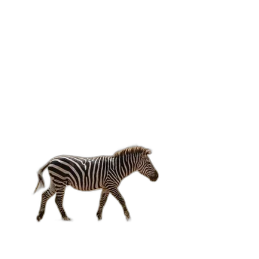 animal, creature, furniture, robot transparent PNG cut-out