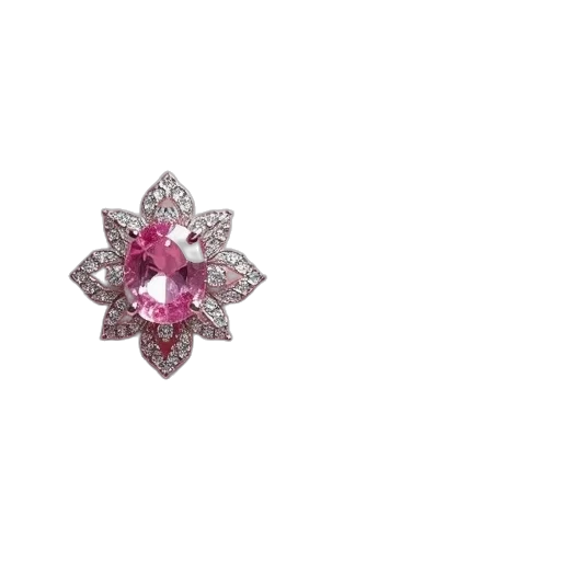 jewelry, crown, flower, staff transparent PNG cut-out