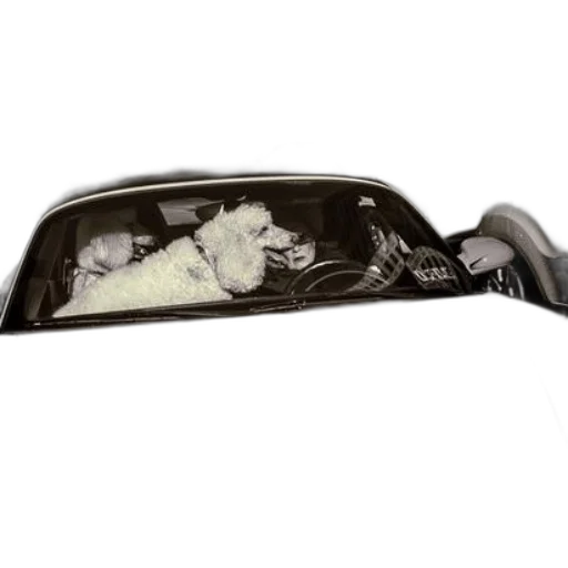 car, mask, shoes, crown transparent PNG cut-out