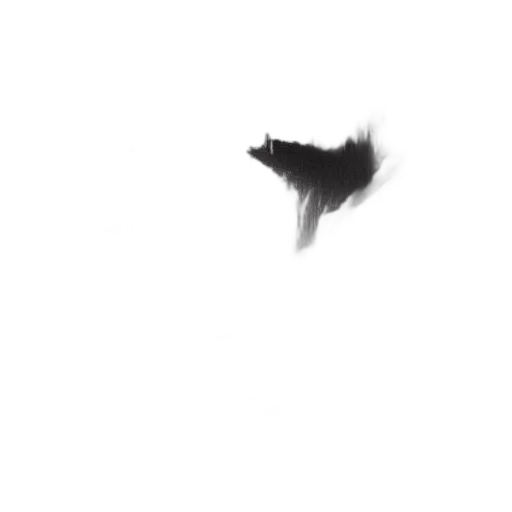 hair, creature, dragon, crown transparent PNG cut-out