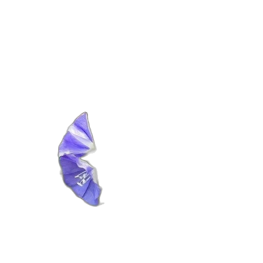 jewelry, umbrella, flower, crown transparent PNG cut-out