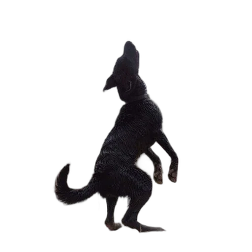 animal, creature, dragon, staff transparent PNG cut-out