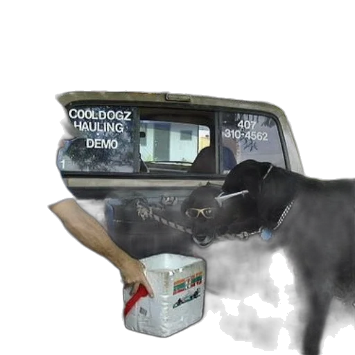 car, animal, creature, robot transparent PNG cut-out