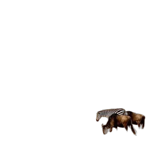 animal, creature, hair, robot transparent PNG cut-out