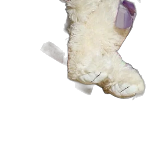 shoes, animal, mask, weapon transparent PNG cut-out