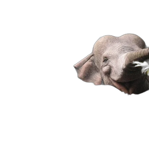 animal, creature, dragon, mask transparent PNG cut-out