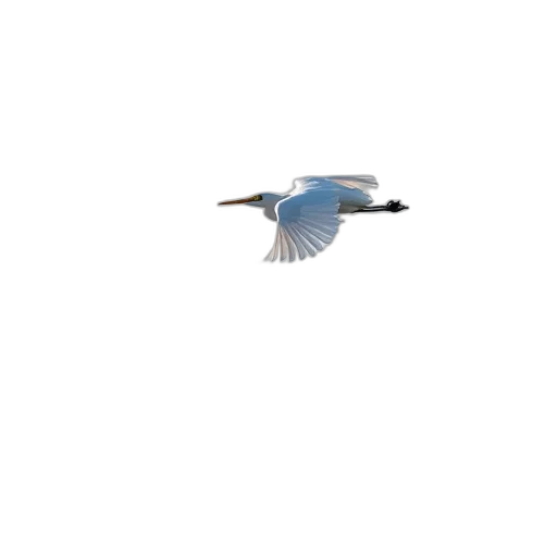 animal, creature, staff, dragon transparent PNG cut-out
