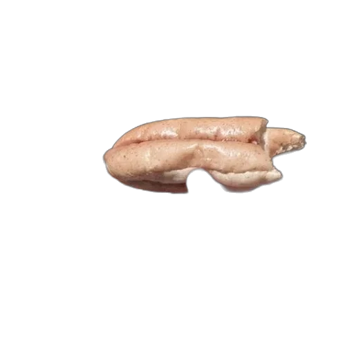 food, animal, hair, creature transparent PNG cut-out