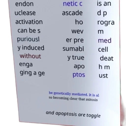 face, robot, text-based, image transparent PNG cut-out