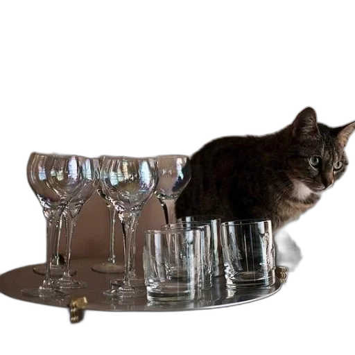 furniture, crown, animal, jewelry transparent PNG cut-out