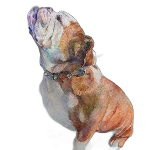 animal, creature, jewelry, dress transparent PNG cut-out