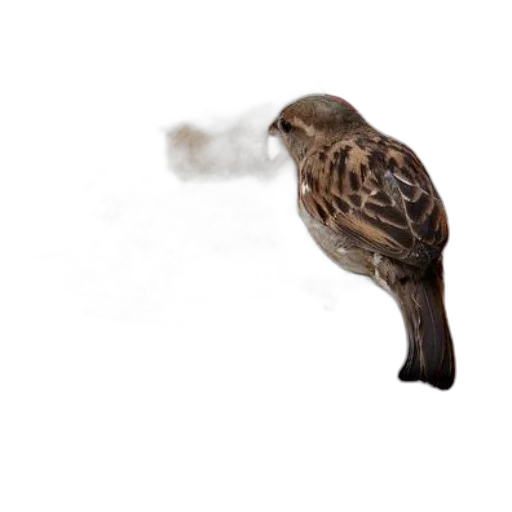 animal, staff, weapon, creature transparent PNG cut-out