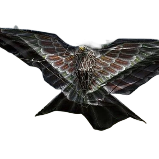 dragon, animal, creature, umbrella transparent PNG cut-out