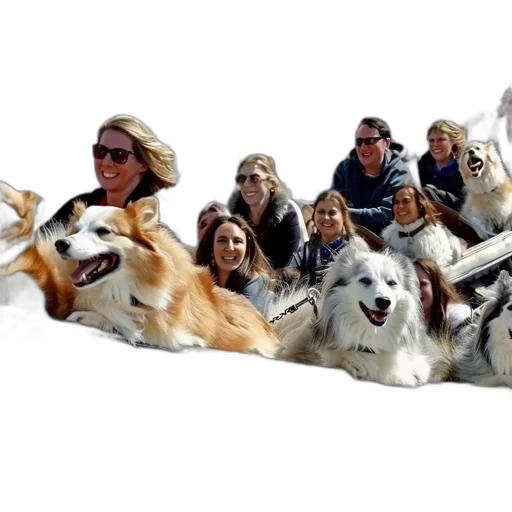 staff, animal, group, people transparent PNG cut-out