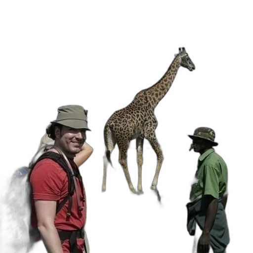 animal, creature, hat, staff transparent PNG cut-out