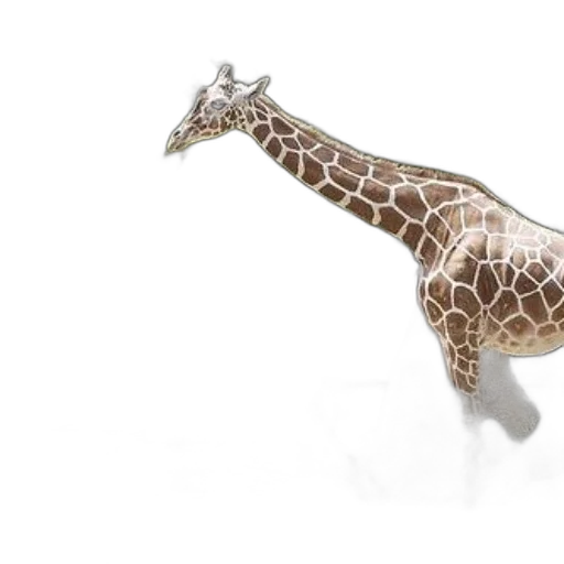animal, jewelry, staff, creature transparent PNG cut-out