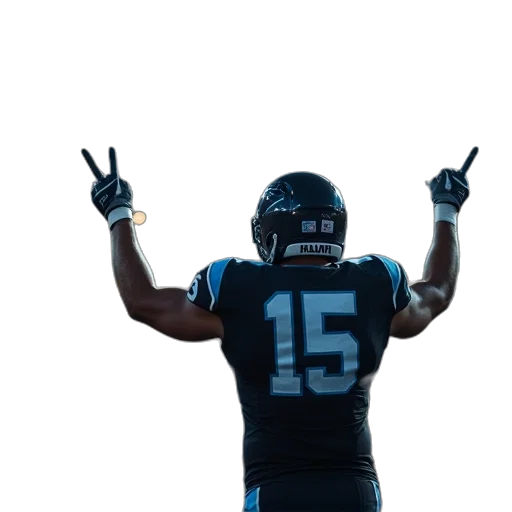 panthers, fan, cheering, sidelines transparent PNG cut-out