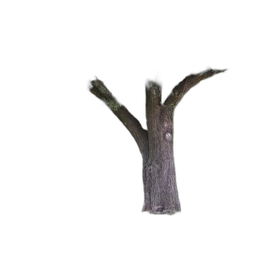tree, staff, furniture, weapon transparent PNG cut-out