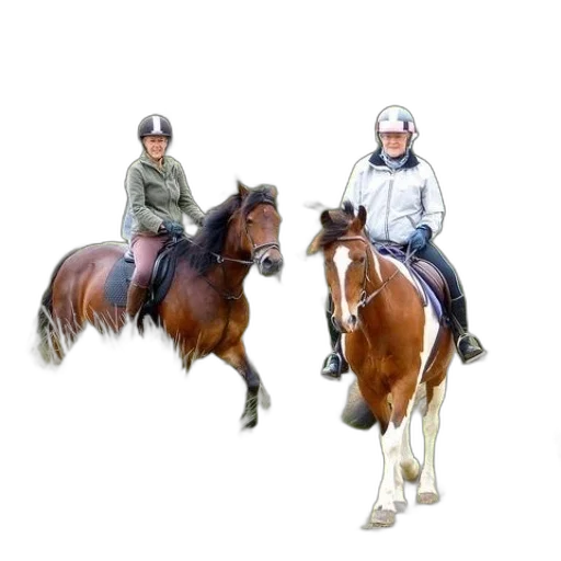 photorealistic, concept art, oil painting, 3d render transparent PNG cut-out