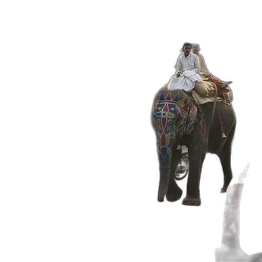 animal, creature, umbrella, staff transparent PNG cut-out