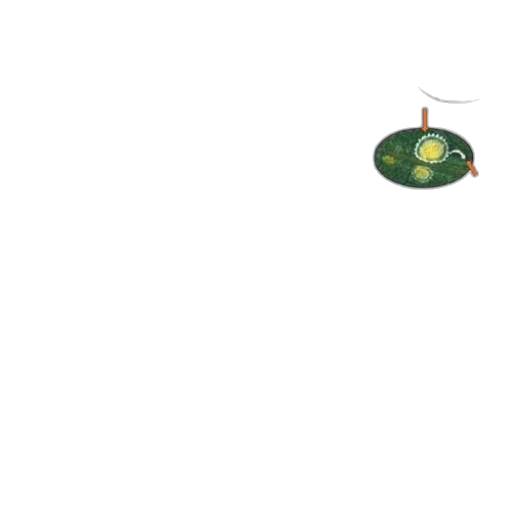 hat, animal, food, weapon transparent PNG cut-out