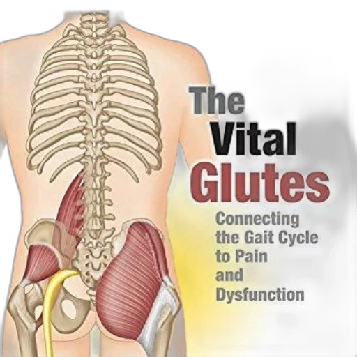 vital, glutes, book, cover transparent PNG cut-out