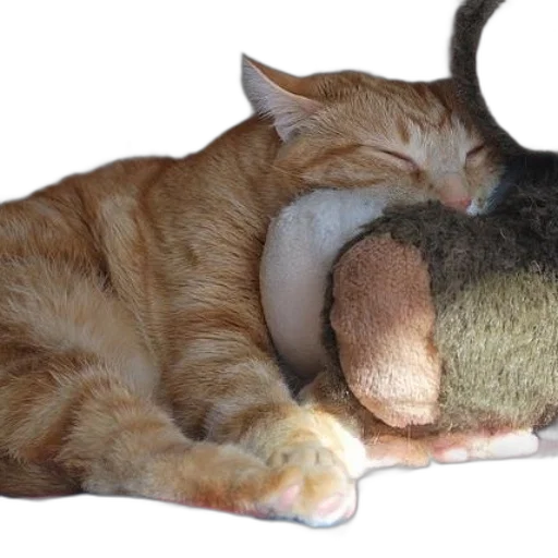 animal, hat, creature, weapon transparent PNG cut-out