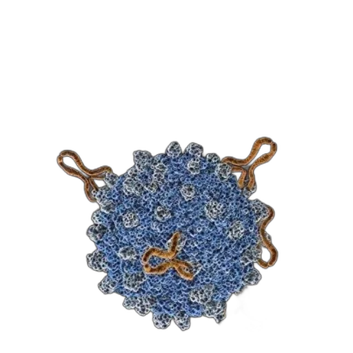 jewelry, crown, staff, flower transparent PNG cut-out